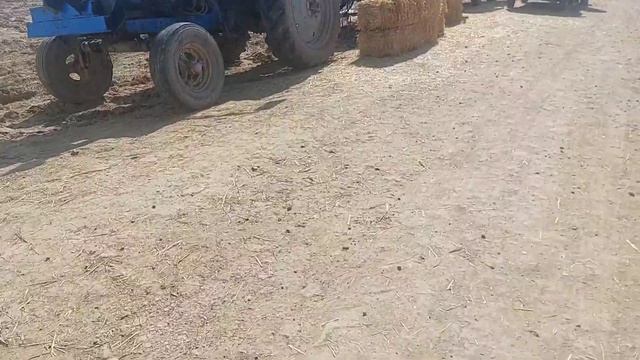 АРПА БУГДОЙ МАККА ХАШАК СОМОН ШОЛИ БЕДА ПРЕСС НАРХЛАРИ КАРШИ КАРВОН МОЛ БОЗОРИ ЁНИДА смотреть онлайн