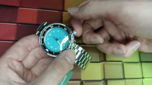 Распаковка-обзор часов Steeldive SD1975 тунец