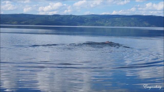 Байкал. Тишина - до ГО'LOVE'ОКРУЖЕНИЯ!!! От ЧИ100ТЫ и ГЛАДКОЙ воды - ПЕРЕПОЛНЯЮТ ощущения!!! 2017 смотреть онлайн