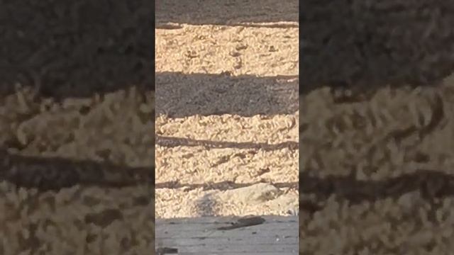 Не держи свой свет взаперти. Стихи. Эстэр. смотреть онлайн