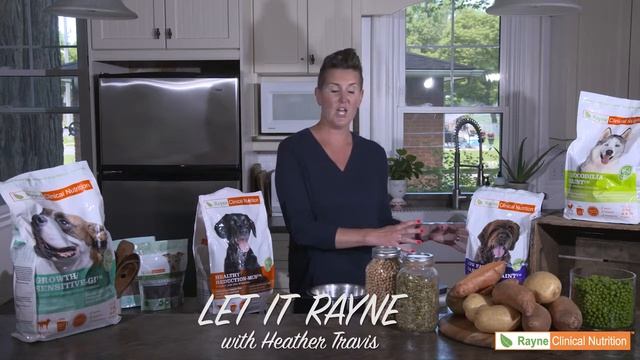 Let it Rayne with Heather Travis - How Much to feed your dog. (8) смотреть онлайн