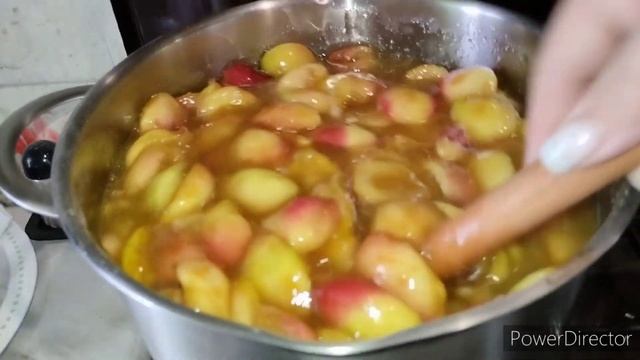 Забавные биологические эксперименты