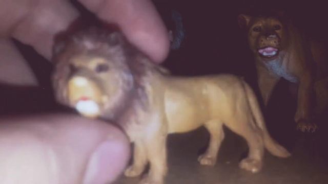 Univers De Léducation