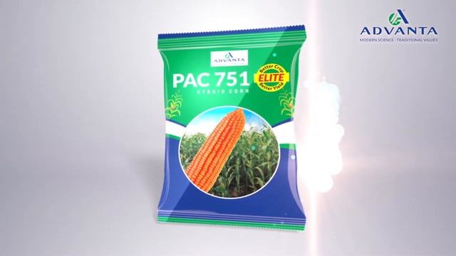ಉತ್ತಮ ಗುಣಮಟ್ಟದ ಹೈಬ್ರಿಡ್ ಮೆಕ್ಕೆ ಬೀಜ | BigHaat смотреть онлайн