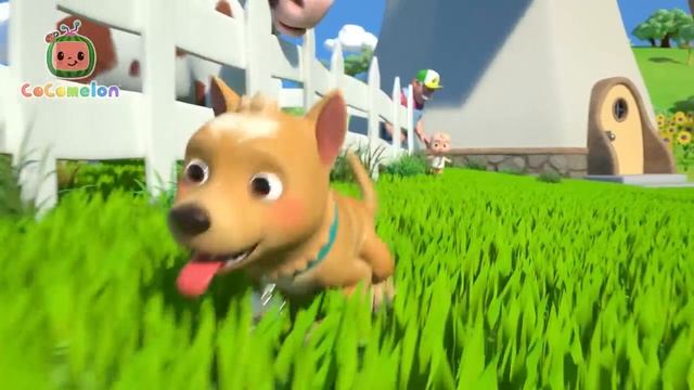 Собака Бинго на Ферме🐕 смотреть онлайн