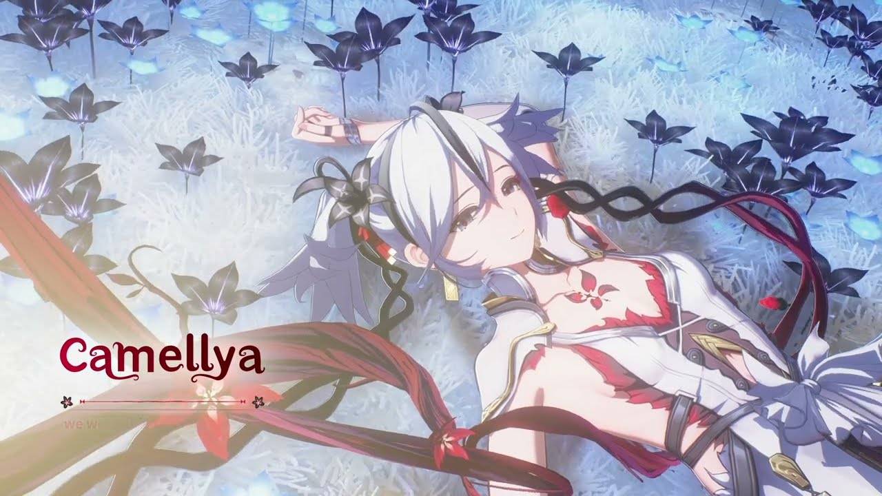 Wuthering Waves ｜ Полуночный подкаст｜ Камеллия смотреть онлайн