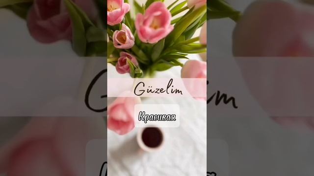 Sen bugün nasılsın? смотреть онлайн