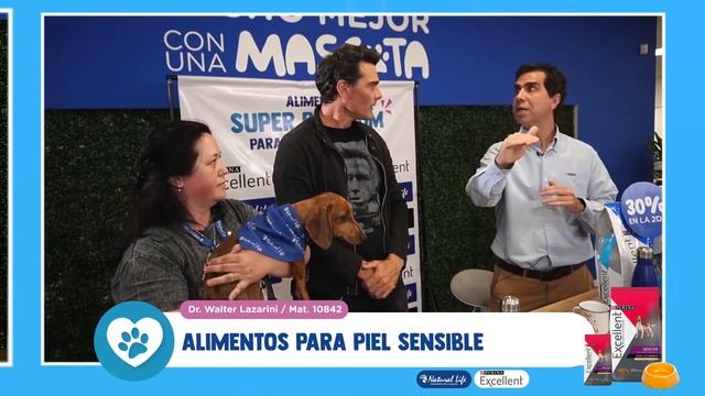 LIVE - ALIMENTOS SUPER PREMIUM PURINA EXCELLENT PERRO смотреть онлайн