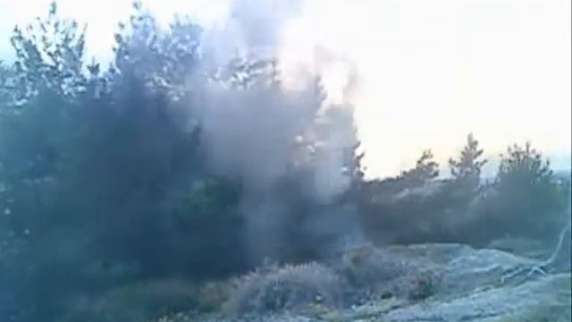 annnmal1200 смотреть онлайн