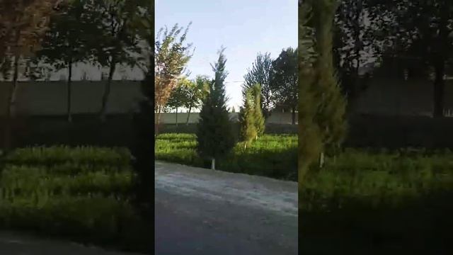 7 октября 2024 г. смотреть онлайн