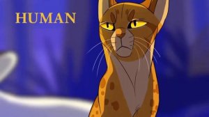 топ 10 моих самых нелюбимых котов-воителей. Часть 1