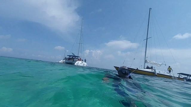 Подводное плаванье Мексика \ Snorkeling tour 2021 Riviera Maya смотреть онлайн