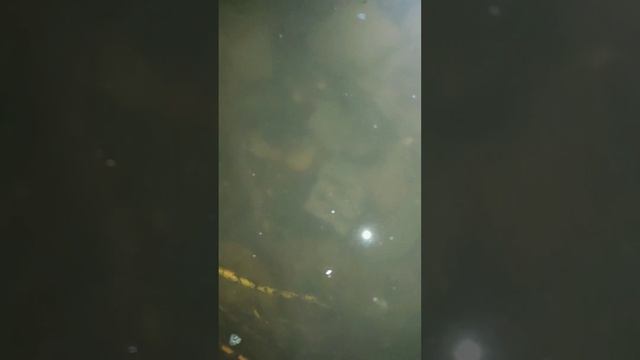 22.09.2023 Вечер река Амур#6(2) смотреть онлайн