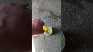 Обработка сарая Йод однохлористый