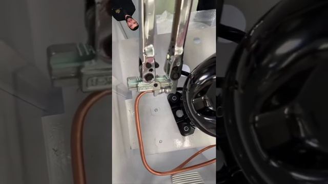 Раскрыл правду про Локринг смотреть онлайн