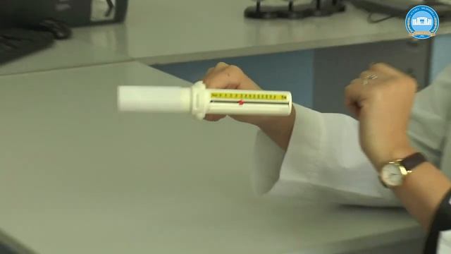 Занятие 3  Пикфлоуметрия