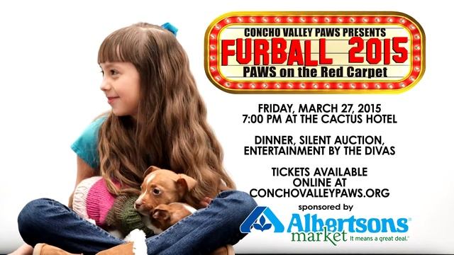 PAWS Pet of the Week - Tris смотреть онлайн