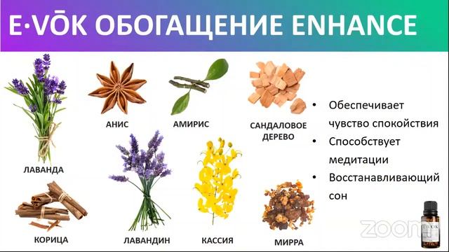 E-VOK от Jeunesse. Доктор Варвара Веретюк смотреть онлайн