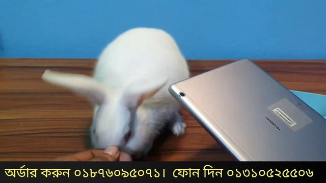 খরগোশের দামে কিনুন Huawei mediapad T3 10.1 Bangla full review Big Bazaar смотреть онлайн