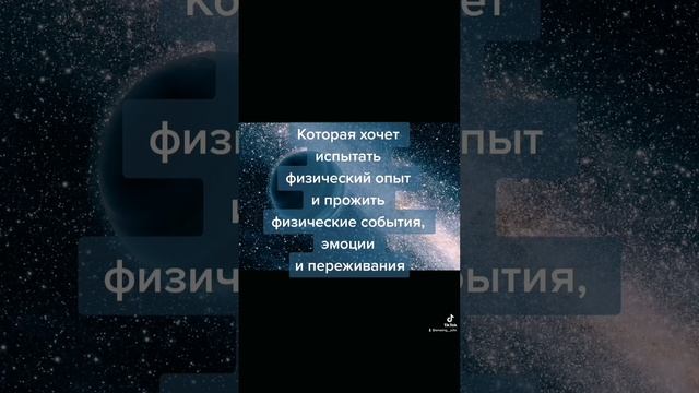 Мы живём вечно смотреть онлайн