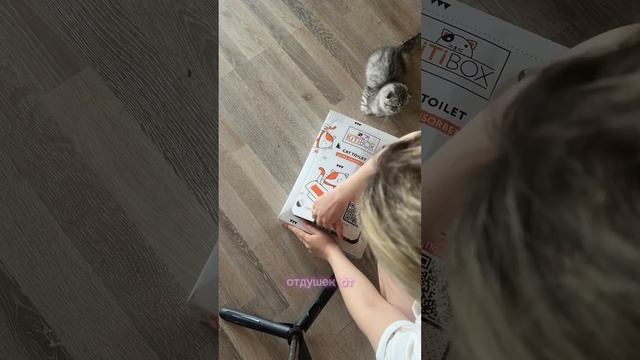 OZON Арт: 164047805 смотреть онлайн