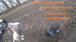 Охота на зайца