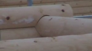 Сращивание бревна по длине