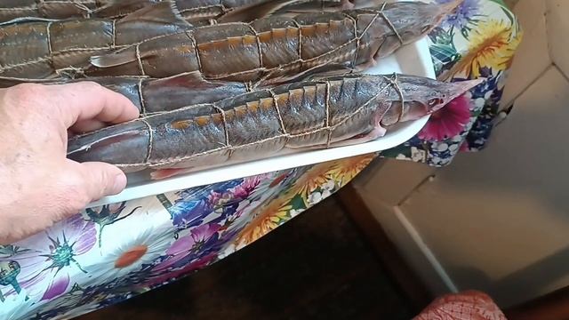 копчение царской рыбки смотреть онлайн