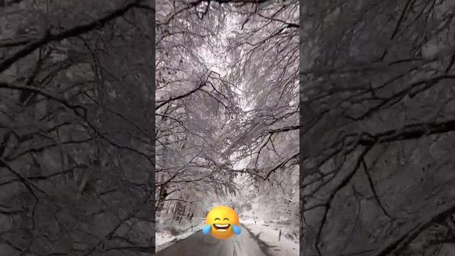 #2024 #like #видео #подписаться смотреть онлайн