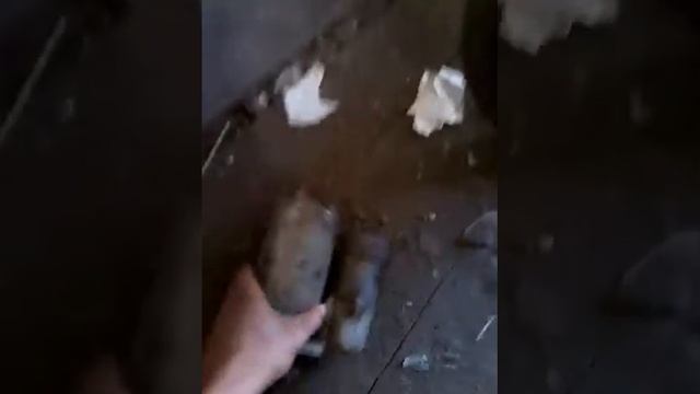 Продам двигун від луаз 40 запорожец смотреть онлайн