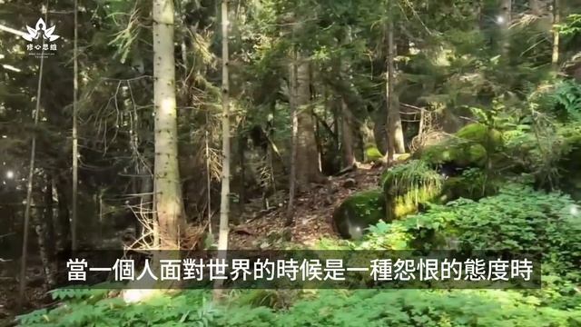 家族的業力是共創的，互為因果，解綁家族業力，讓人生更順遂，如何做到擺脫家族業力？|家族業力|家族覺醒 #zen смотреть онлайн