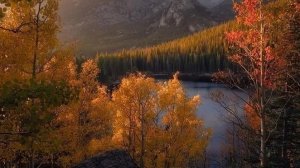 21-11-2024 Жизнь в деревне.