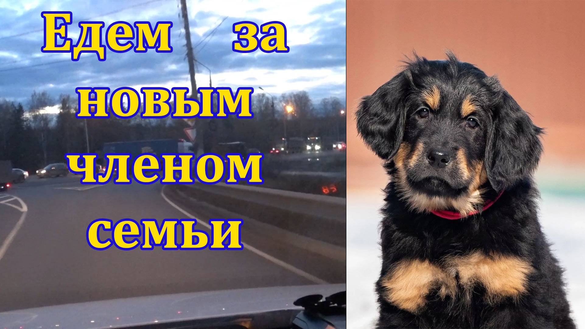 Ховаварт. Напарник для моих приключений. В нашей семье пополнение. смотреть онлайн