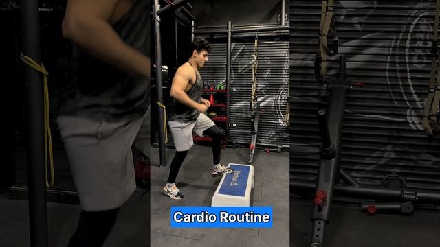 Cardio Routine lv 1 | Coach Amr Selim смотреть онлайн