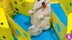 ВСЯ ПРАВДА о ХОМЯЧКАХ ВИКИ ЛАКИ** ЧТО БУДЕТ С КАНАЛОМ? ПЕЧЕНЮШКА и ВИЛЯ ДУБЛЕРЫ?