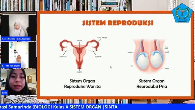 BIOLOGI KLS X SISTEM ORGAN | SINTA смотреть онлайн