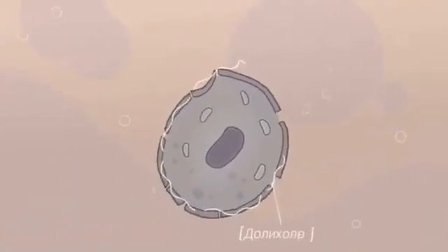 ТАЙГА8 хвойный концентрат энергии смотреть онлайн