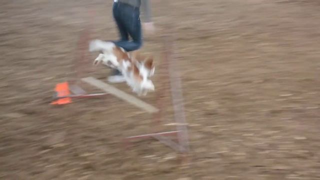 2014 06 14 Оля и Виля А1 сдали DSC 1499 смотреть онлайн