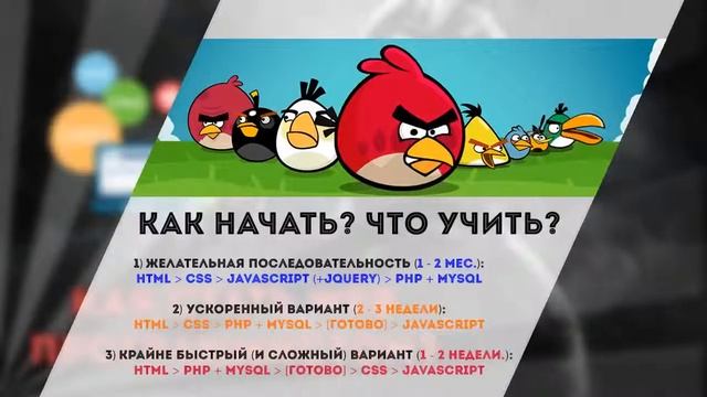 Как стать WEB программистом смотреть онлайн