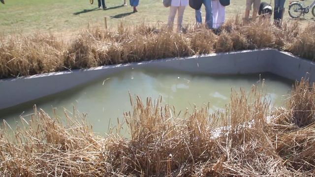 Живая вода - 1 смотреть онлайн