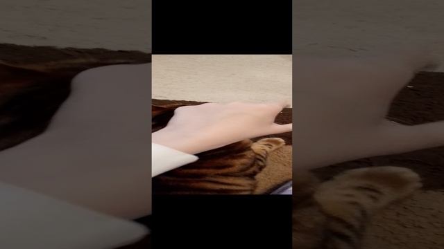 это мое видео потом с лицом смотреть онлайн
