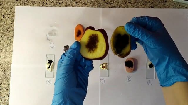 Виявлення крохмалю у харчових продуктах смотреть онлайн