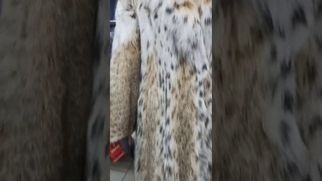 Шубы из рыси