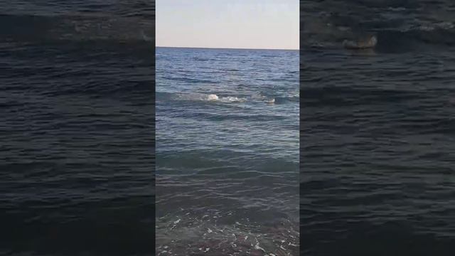 приехали на море, а там акула??? смотреть онлайн