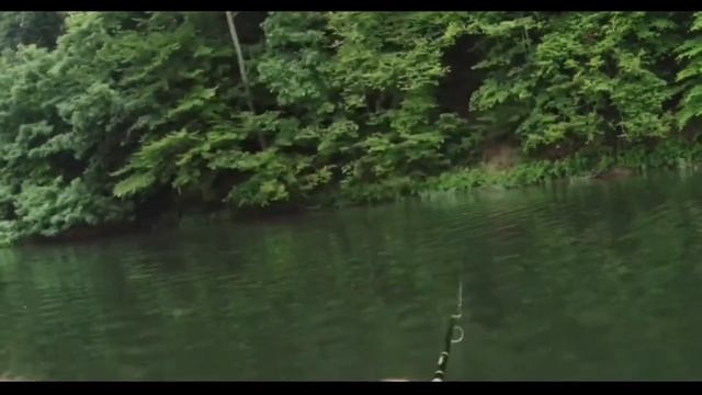 Fishing at Elk Creek lake, Washington county Indiana смотреть онлайн