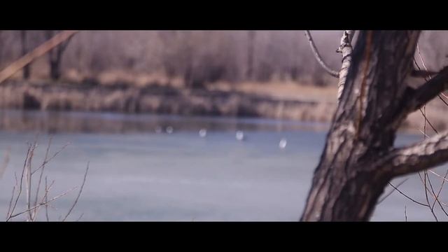 Жанибек-Зарина смотреть онлайн