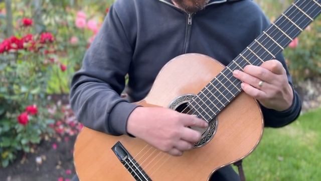 Debussy - The Girl with Flaxen Hair - Alan Mearns, Luthier - Zebulon Turrentine смотреть онлайн