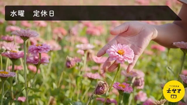 【朗読】いい話・泣ける話　11話 1時間【女性朗読/名作/感動/2ch/作業用/睡眠用】 смотреть онлайн