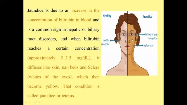 Biochemistry | practical | Bilirubin смотреть онлайн