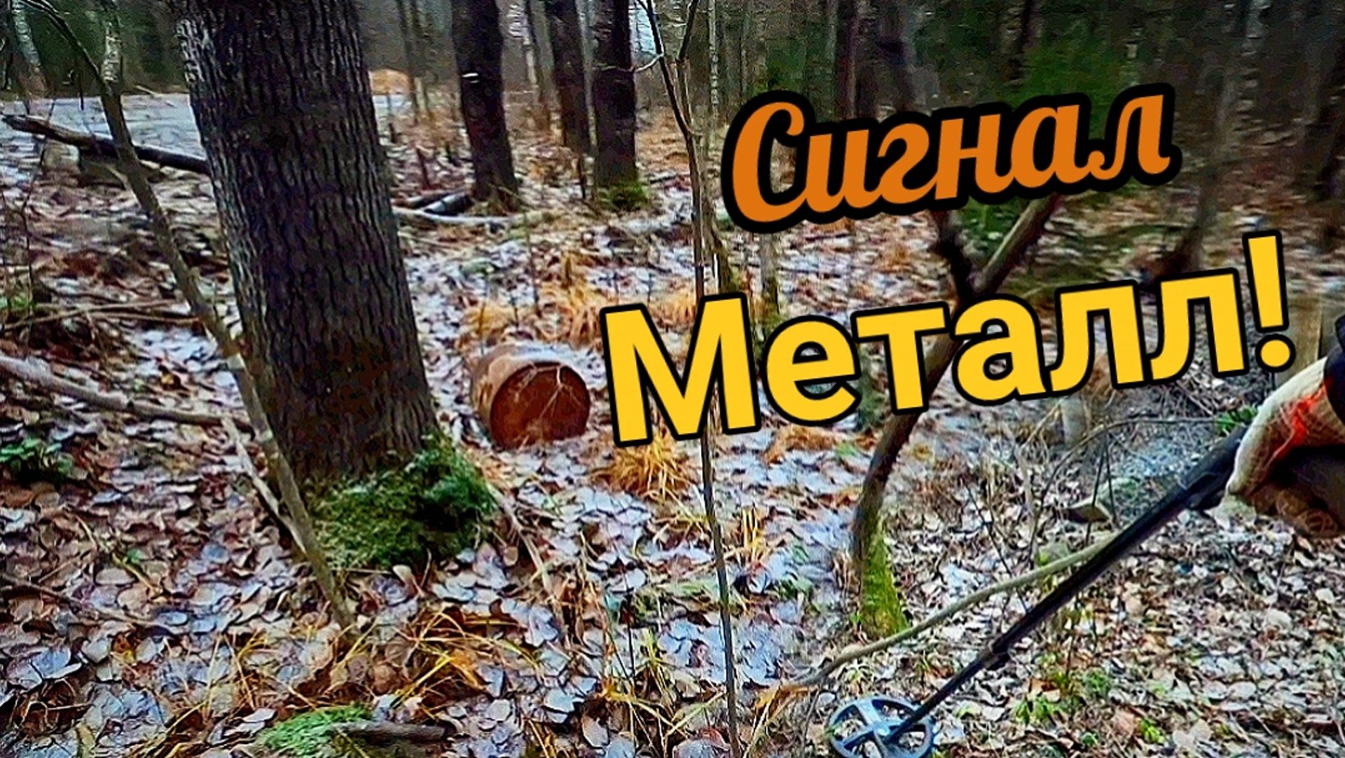 Взял металлоискатель и вышел на поиски металлолома смотреть онлайн